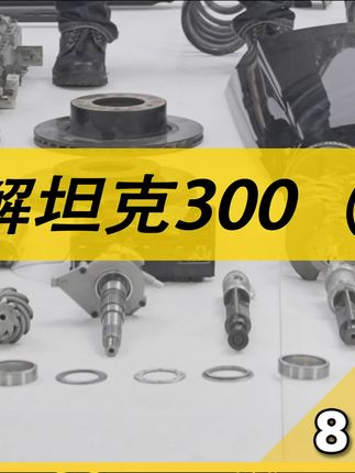 拆解坦克300 （8） 上